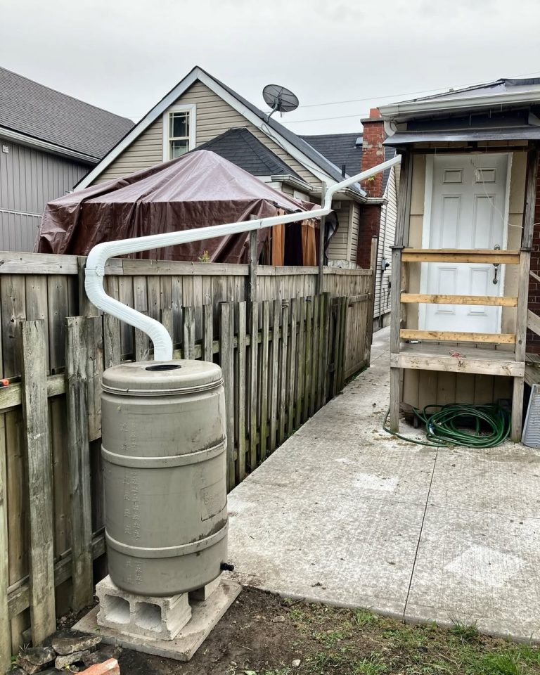 21+ Rainscaping Ideas to Beautify Your Yard and Protect the Planet