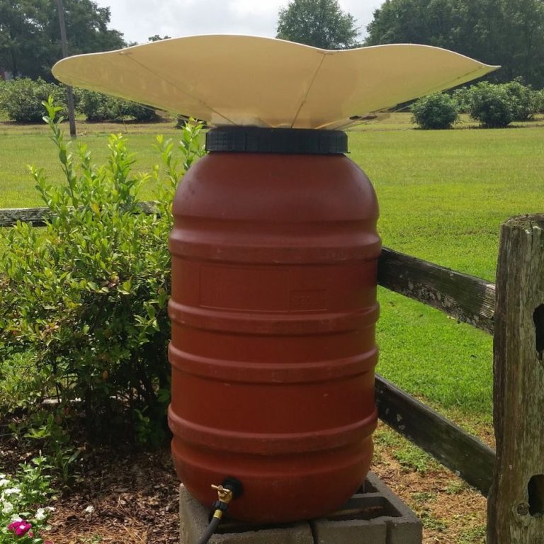 23 Rain Gutter Drainage Ideas to Transform Your Yard