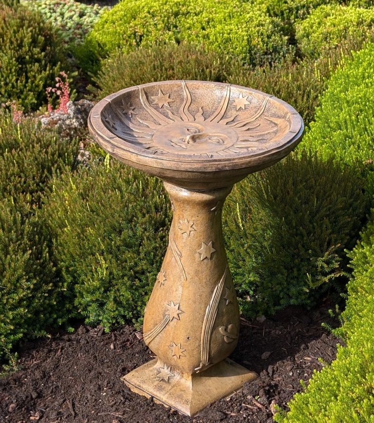 19 Bird Bath Ideas to Enhance Your Garden and Attract Beautiful Birds