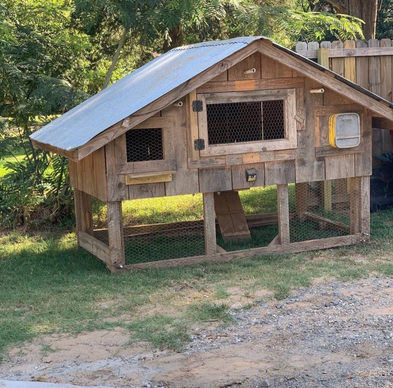 13+ Easy DIY Chicken Coop Plans for Every Backyard