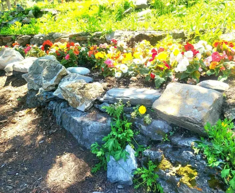 15 Rock Flower Bed Ideas to Elevate Your Outdoor Living Space