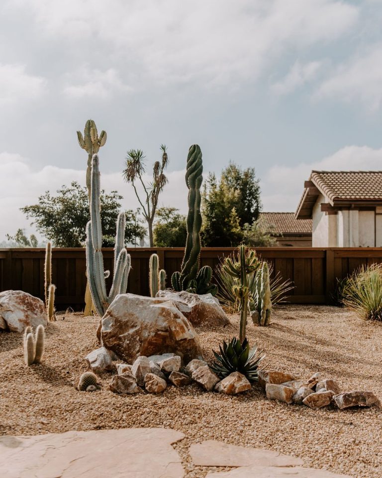 21+ Rock Garden Ideas That Will Instantly Transform Your Outdoor Space