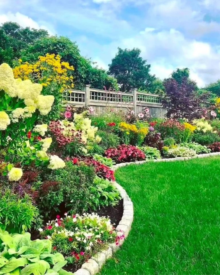 25 Landscaping Ideas to Transform Your Outdoor Space