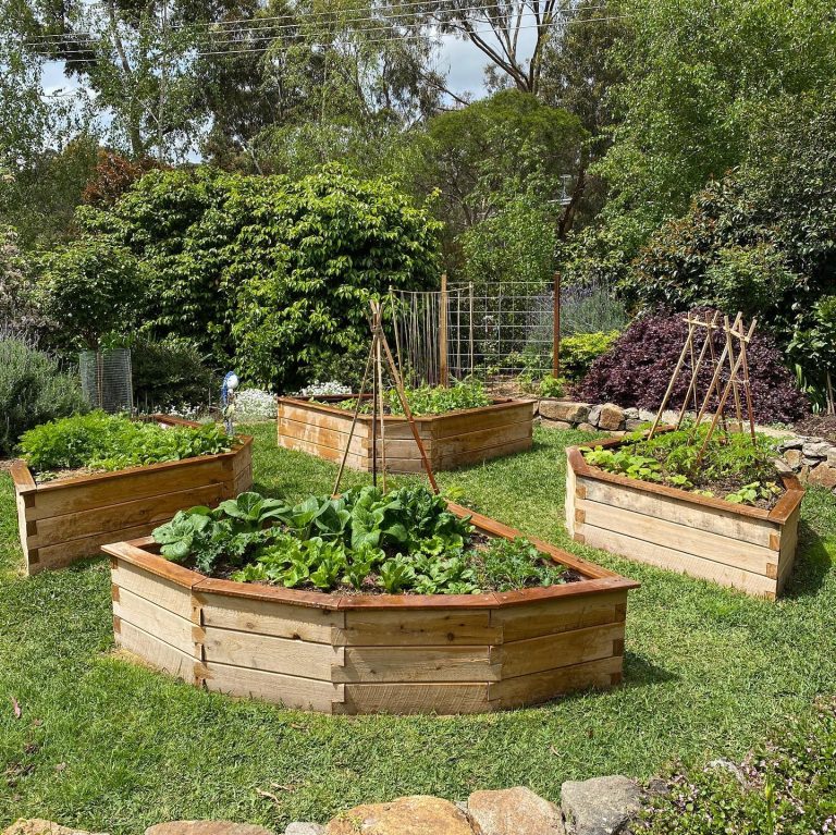 23 DIY Garden Ideas to Transform Your Outdoor Space