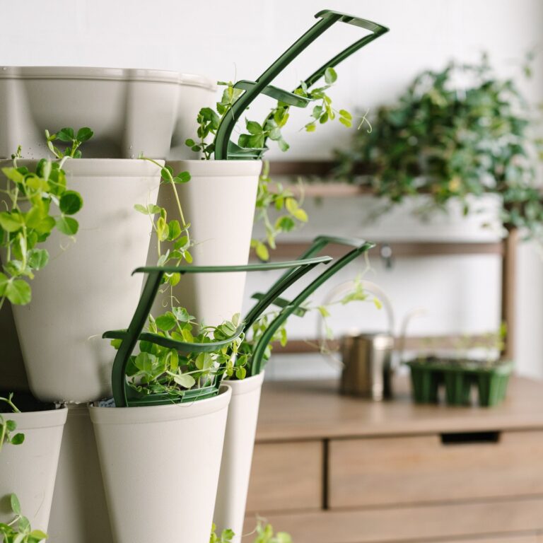 19 Indoor Herb Garden Ideas