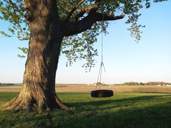 Classic Tree Swing